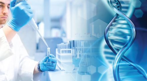 兩地生物科技合作 聯(lián)合發(fā)力，共筑生命科學(xué)新未來(lái)